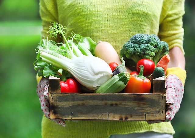 【8月31日は野菜の日】調理法を工夫して「1日350g」野菜を食べよう！