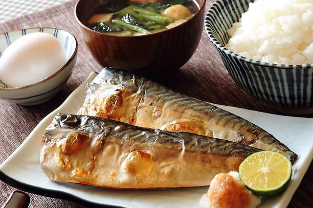 【神奈川県のご当地食材】恵まれた環境で美味しさアップ！黄金に輝く「松輪サバ」