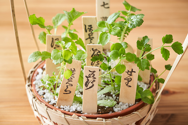 【健康祈願】春の七草の基礎知識と栄養効果をご紹介！