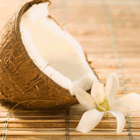 管理栄養士がまとめました。ココナッツオイルに含まれる成分が持つ効果とは？