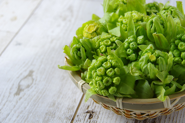 【春の訪れ】旬野菜「ふきのとう」の栄養効果とおすすめの食べ方