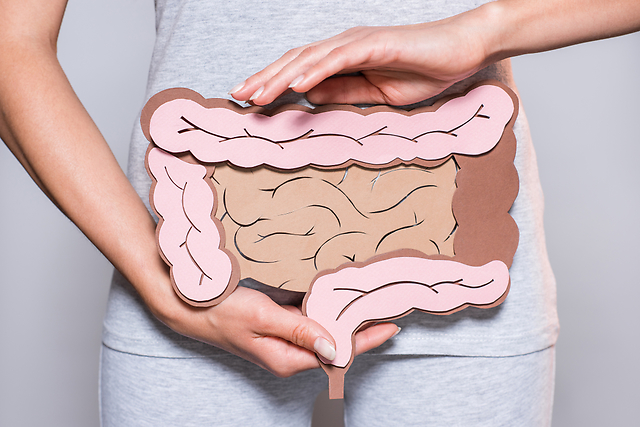 【驚きの研究結果！】満腹を感じるのは胃ではなく「腸」って本当？