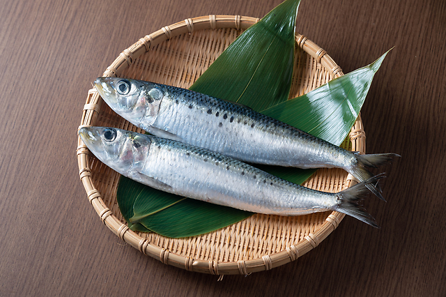 【10月4日はイワシの日】日本人におなじみの魚「イワシ」の魅力を徹底解剖！