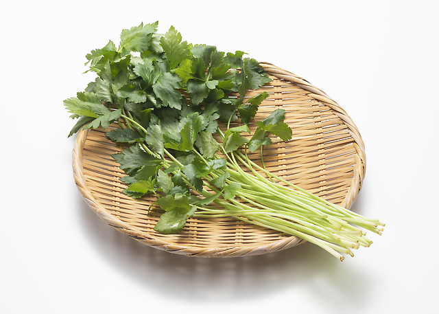 【春を告げる野菜】三つ葉の栄養パワーとおすすめレシピ3選