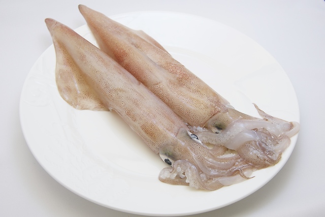 【鳥取県のご当地食材】こりこり食感の「白いか」の魅力に迫る