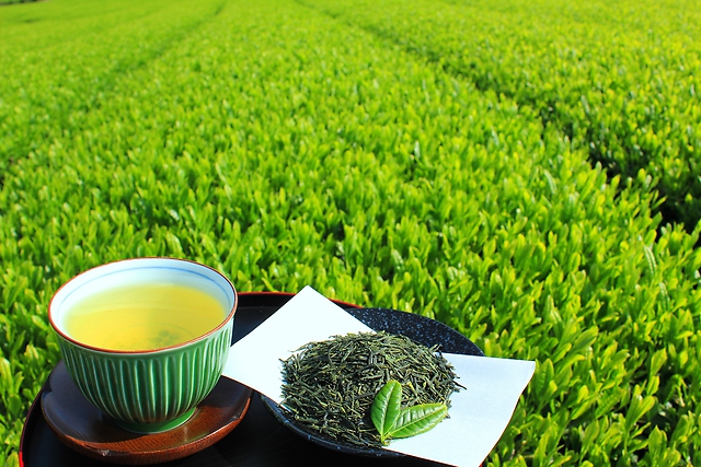 【新茶の季節♪】日本茶の種類とおすすめレシピ