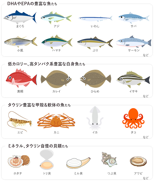 我慢しないでok お寿司 を食べても太らないテクニックとは ダイエットプラス