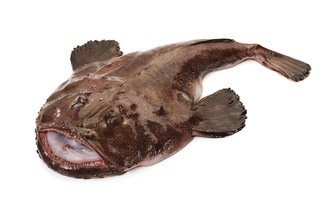 捨てるとこなし 管理栄養士が冬の高級魚 アンコウ の栄養について解説 ダイエットプラス