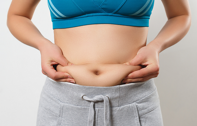 【何が違うの？】内臓脂肪と皮下脂肪の特徴と減らし方を解説 ダイエットプラス