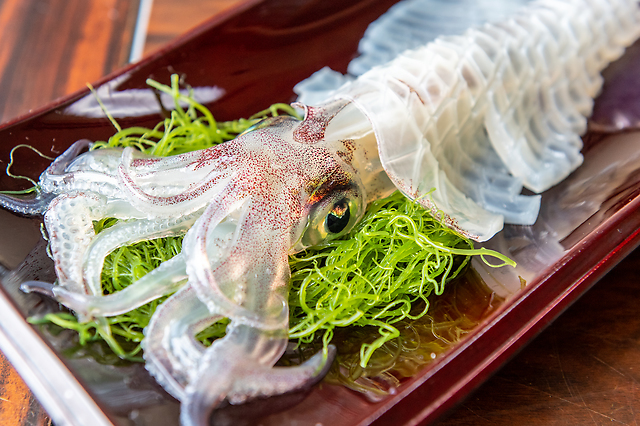 鳥取県のご当地食材 こりこり食感の 白いか の魅力に迫る ダイエットプラス