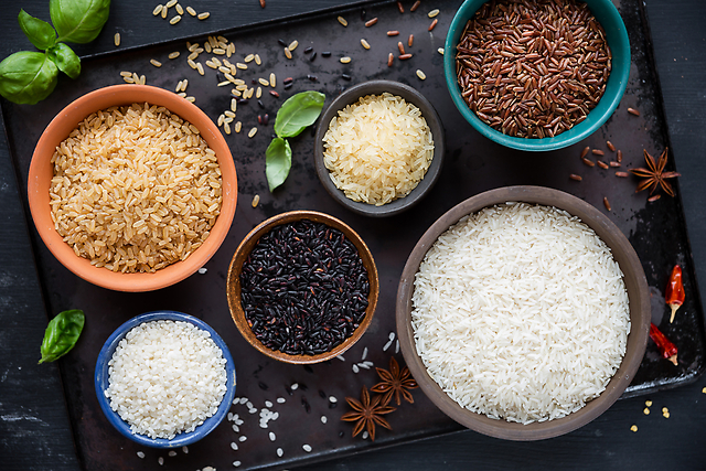 ココが知りたい 精白米 発芽玄米 玄米 胚芽米のどれを選べば良いの ダイエットプラス